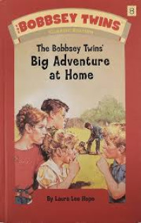 Image of The Bobbsey Twins' : Big Adventure at Home